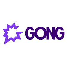 Gong Integration | Build Your Integrations with hotglue